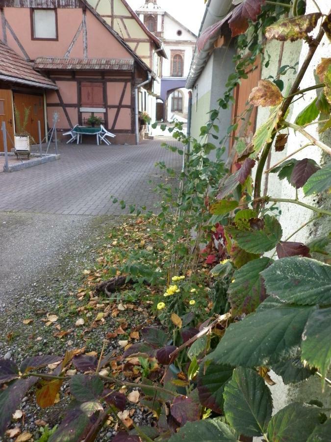 Gites Petermann Marckolsheim Luaran gambar